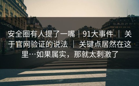 安全圈有人提了一嘴｜91大事件 ｜ 关于官网验证的说法 ｜ 关键点居然在这里…如果属实，那就太刺激了